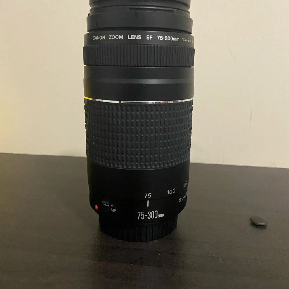 Canon Rebel EOS T6